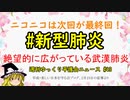 #新型肺炎 絶望的に広がっている武漢肺炎【週刊ゆっくり平護会ニュース#43】