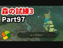 【実況】今年で定年を迎える父をハイラルの大地に放り込むPart97【ゼルダの伝説BotW】