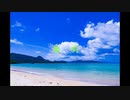 島唄（歌詞付き） THE BOOM － Covered by and-J