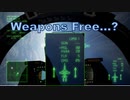 Ace Combat 7 Multiplayer652 バトルロイヤル F-2A + HVAA