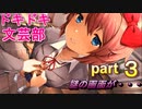 【ドキドキ文芸部】何もわからない私がハーレム文芸部に入部する　part３ 【実況】