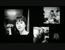 Paul Harasuki - its true  ( vinyl version )