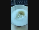 白いアレを投入
