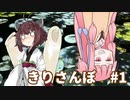 【Voiceroid散歩】チームラボボーダレス東京に行ってきたよ！