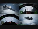 Ace Combat 7 Multiplayer654 バトルロイヤル F-15E + 6AAM