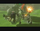 依頼を受けて、ライネル　ｖｓ　イワロックをしてみた