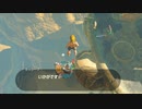 依頼を受けて、流鏑馬ホバー中にワープすると落下するのでカッシーワさんと落ちてみた