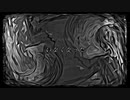 彷徨のなれのはて／初音ミク