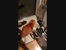 【海】インソールに夢中