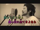 【ニコカラ】白日《King Gnu》アコギVerガイドメロなし+3