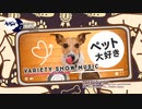 ペット大好き [Variety Show Music]