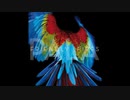 Friendly Fires - Pala
