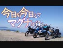 今日も今日とてマグナは行くSP3「夏が恋しくなっただけ」