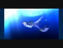 【FGO】高難易度『パリピ、カルデアに降り立つ。』水着メルトで攻略【3T・聖杯有】