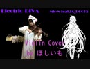 Electric DIVA (Mk-N feat.IA_ROCKS) バイオリンで弾いてみた！