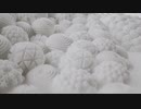 TENGA GEO Official PV