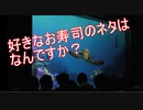 クラッシュに宣誓させられるゲスト　タートルトーク