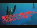 最近いいことが起きません。どうすればいいですか？ 『タートルトーク』 東京ディズニーシー