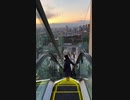 日本へ旅行したいかい？