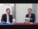 藤井聡氏インタビュー「ＭＭＴを必死で批判する人達の動機」-ザ・リアルインサイト2019年9月号-