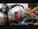 猫じゃらしで特訓！野良猫がジャンプしたりコケたりする動画です