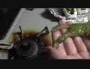 こんにゃくでスモールマウスバスを釣るワームを作る！