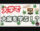 カナダの大学で大麻が学べる！！研究や栽培方法なども！？