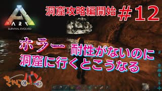 【PS4版:ARK Survival Evolved】再び始まる文化的？サバイバル生活【12日目】