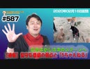 【通報】保守系番組の弱点と「5ちゃんねる」通報。広告はがしは次のステージへ｜みやわきチャンネル（仮）#728Restart587