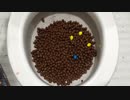 M&M'sとココア味のシリアルをトイレに流してみた