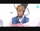 22.0【BTS_VLIVE】秋の大祝祭【Run BTS!】【日本語字幕】