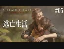 【A PLAGUE TALE 】 #5 ステルスゲーをしてると声が小さくなる