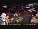 強肉弱食(IB)41(回復薬縛り)