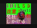 【実況】ほぼ1日1LSD実況プレイ(ため撮り)【LSD】Day11