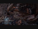 【MHWIB】ガンキンが存在するのに何でラドバルキンが作られたのだろうか【モンスターハンターワールドアイスボーン】