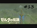 【ゼルダの伝説BotW】記憶喪失だけどちょっと世界救ってくるPart13【実況】