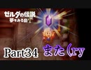 求むー「ゼル伝」のプロー【ゼルダの伝説　夢をみる島】 part34