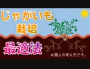 【CeVIO解説】じゃがいも栽培最適化の方法【雨水の候】
