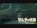 【ゼルダの伝説BotW】記憶喪失だけどちょっと世界救ってくるPart14【実況】