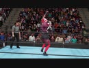 346×283プロレス CG1 SHINYCARD 第1試合