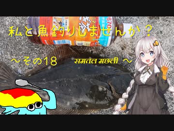 私と魚釣りしませんか？～その１８　समतल मछली～