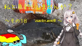 私と魚釣りしませんか？～その１８　समतल मछली～