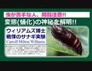 【閲覧注意!】変態（蛹化）の神秘を解明したウィリアムズ博士の戦慄のサナギ実験