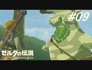 【実況】マスターモード縛りプレイやる part9【ゼルダの伝説 ブレスオフザワイルド】