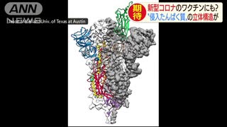 新型コロナの構造初判明　ワクチンなどの開発に期待