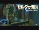 【ゼルダの伝説BotW】記憶喪失だけどちょっと世界救ってくるPart15【実況】