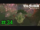 【実況】見落としが多い勇者の冒険part34【ブレスオブザワイルド】