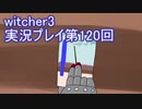 探し人を求めてwitcher3実況プレイ第120回
