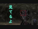 #21【地球防衛軍５】今度はフェンサーでDLCをハードで実況(？)プレイ