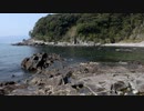 【黒猫キキくんと行く釣り場シリーズ：真鶴半島・番場浦釣り場】＝猫とジジと遠投カゴ釣り＝